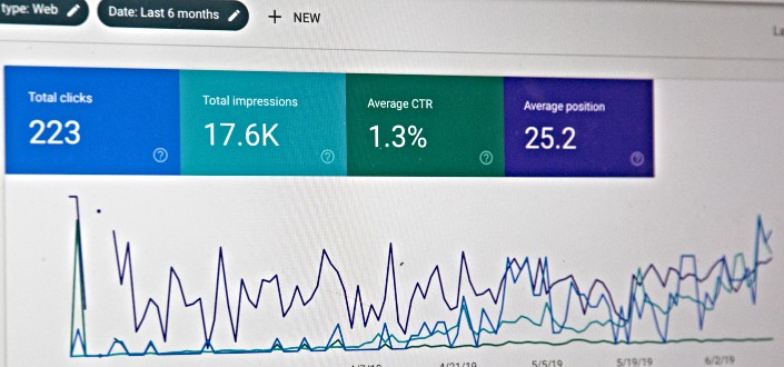 Results displaying the website's summary statistics